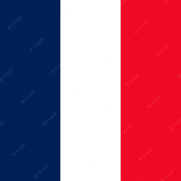 france-flag-official-colors-vector-illustration_601298-4221